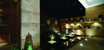2023室內(nèi)裝修盆栽植物效果圖片大全