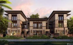 美式建筑风格农村豪华双拼别墅设计图_装修1