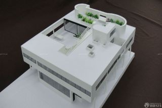 萨伏伊别墅模型俯视图