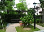 欧式别墅庭院景观绿化设计图片
