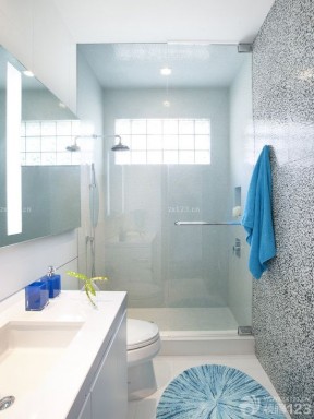小户型卫生间装修效果图大全2020图片 玻璃淋浴间装修效果图