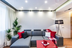 客廳盆景 小戶型設(shè)計
