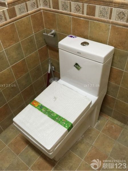 潔具安裝了，衛(wèi)生間真的好小。