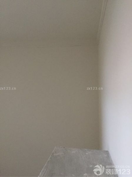 大白已刮完，開始買板子上木匠打柜。硅藻泥已準(zhǔn)備就緒。