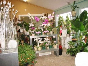 20平米花店裝修效果圖 鐵藝花架圖片