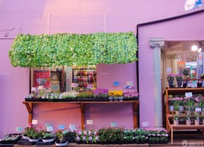 唯美鲜花店紫色墙面装修效果图片