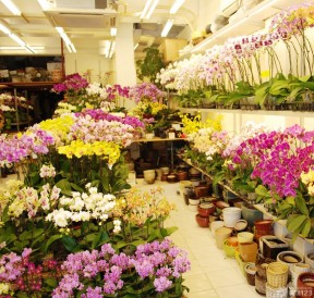鮮花店裝修 走廊裝修效果圖片
