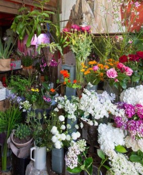 花店設(shè)計 小型花店裝修效果圖