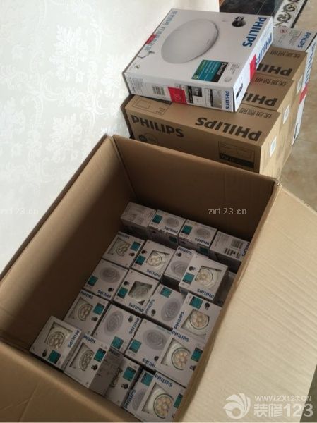 在飛利浦照明官方旗艦店一口氣把所有臥室和客廳的燈采購(gòu)了，真心覺得貴！等待40天后訂購(gòu)的TATA套裝木門到貨，明日進(jìn)行安裝。