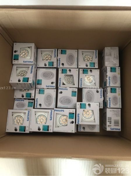 在飛利浦照明官方旗艦店一口氣把所有臥室和客廳的燈采購(gòu)了，真心覺得貴！等待40天后訂購(gòu)的TATA套裝木門到貨，明日進(jìn)行安裝。