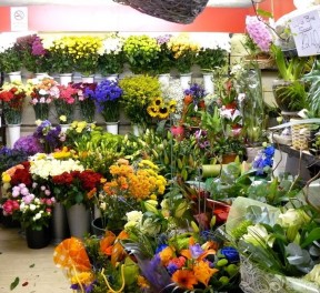 花店裝修效果圖大全 陳列圖片