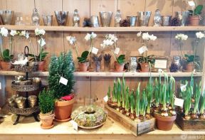 簡(jiǎn)約鮮花店展示架設(shè)計(jì)裝修效果圖片
