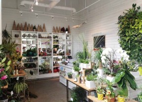 小花店裝修效果圖 白色墻面裝修效果圖片