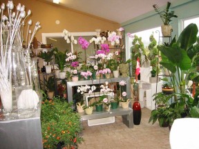 小花店裝修效果圖 展示架設(shè)計(jì)