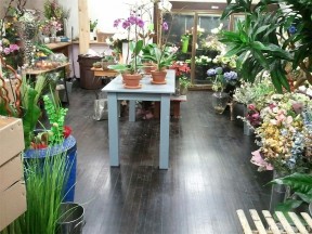 小花店裝修效果圖 深褐色木地板裝修效果圖片