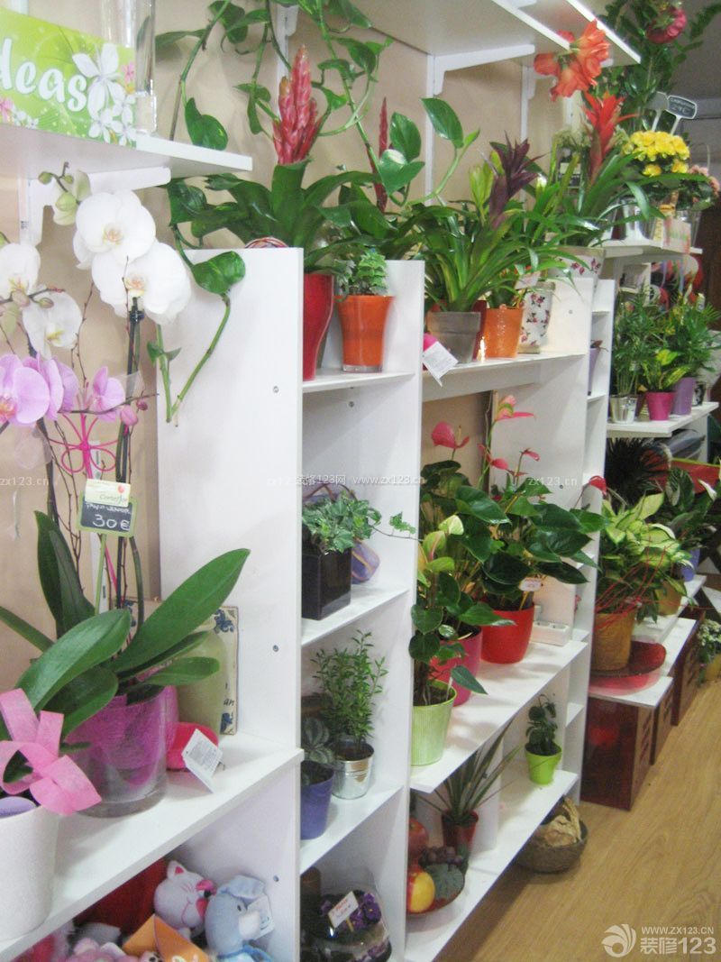 簡(jiǎn)約現(xiàn)代風(fēng)格花店花架裝修效果圖