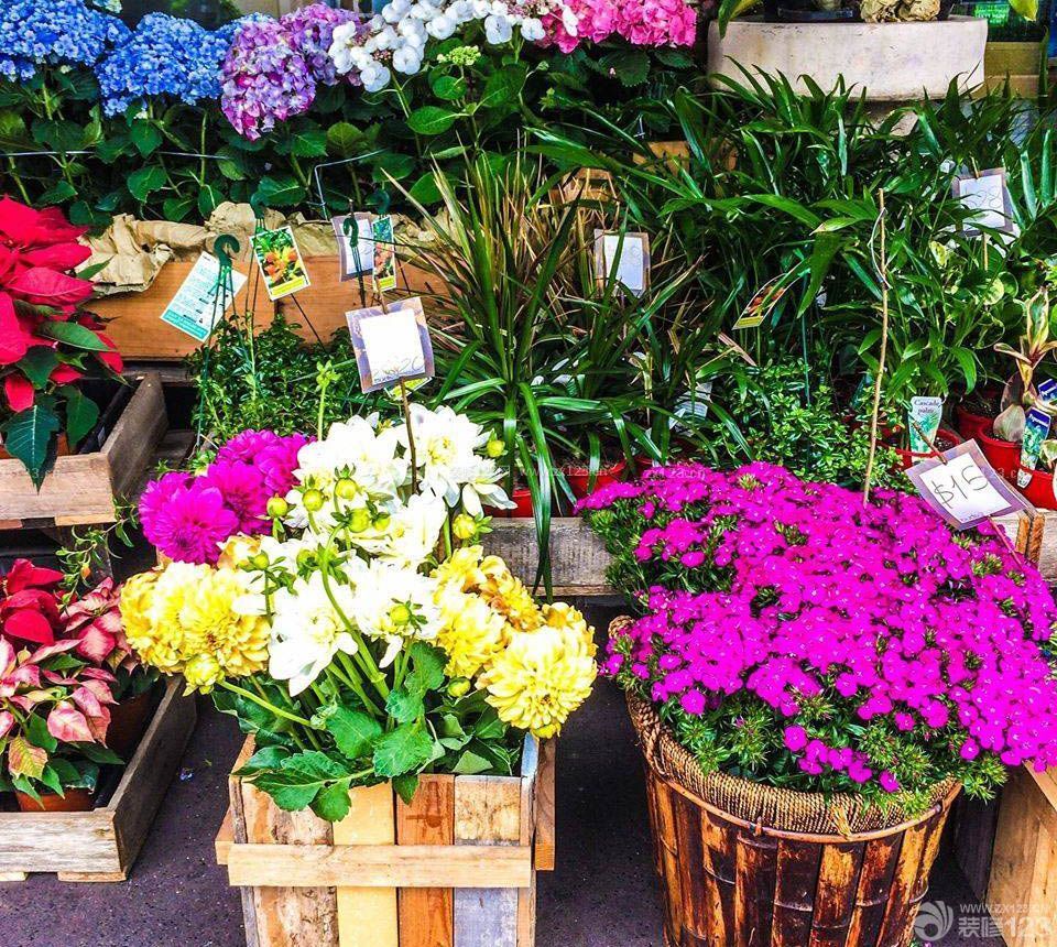 最新同城花店室外花架擺放圖片