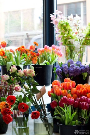 精美花店橱窗设计花卉盆景效果图片