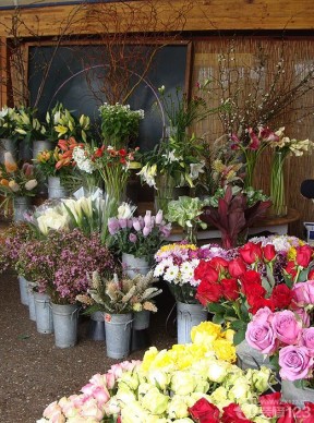 花店室內(nèi)裝修效果圖 陳列圖片