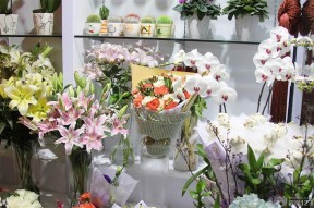 花店裝修風(fēng)格圖片 白色墻面裝修效果圖片