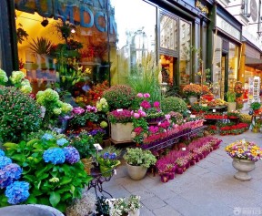 经典花店门头设计花卉盆景图片欣赏