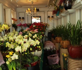 鮮花店裝修效果圖 室內(nèi)裝修與設(shè)計(jì)