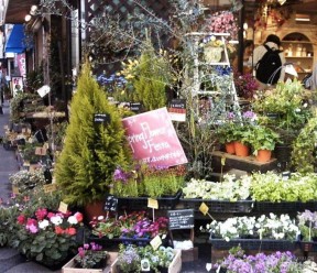 鮮花店裝修效果圖 