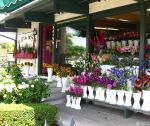 最美国外鲜花专卖店装修图片 