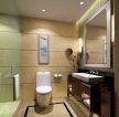 现代风格小型酒店卫生间浴室装修图