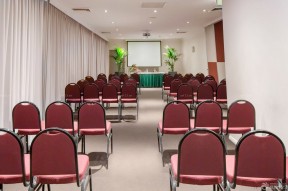 会议室现场盆栽植物布置图片