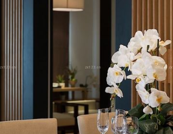 現(xiàn)代風格餐廳燈具設(shè)計圖片