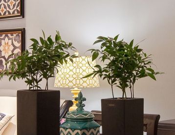 新古典混搭風(fēng)格家裝餐廳裝修設(shè)計