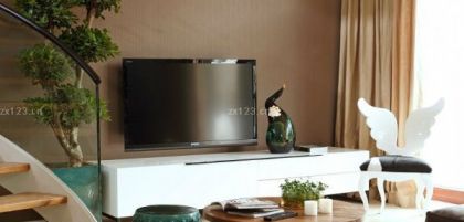 客廳電視墻呢褐色墻面裝修設(shè)計(jì)效果圖片