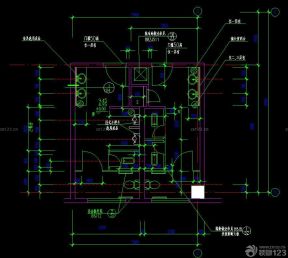 现代公共厕所设计cad平面图