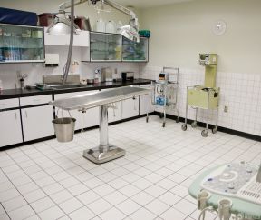 动物医院装修效果图 地板砖