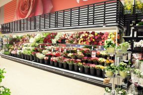 超市的储物柜 花卉盆景图片