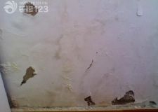 上海裝修墻壁返潮怎么辦？墻體返潮如何處理？