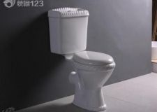 分體坐便器怎么樣?有什么優(yōu)缺點(diǎn)?