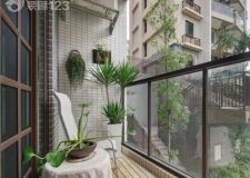 房內(nèi)擺對這些植物，這樣種才能讓你招財(cái)