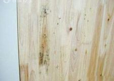 實(shí)木門發(fā)霉如何處理?實(shí)木門如何防霉？