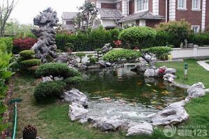 庭院鱼池