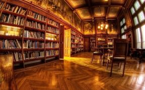 图书馆设计效果图 深黄色木地板装修效果图片