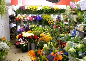 鮮花店圖片