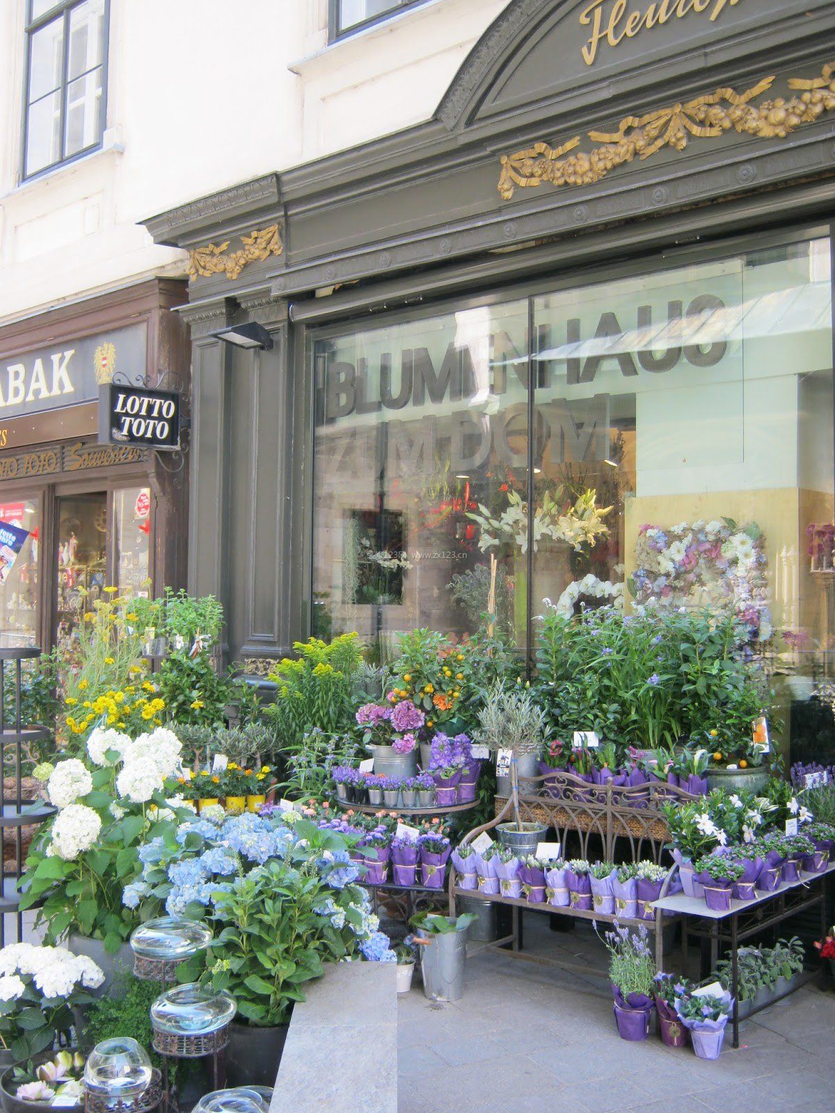 高档花店室外花架设计图片