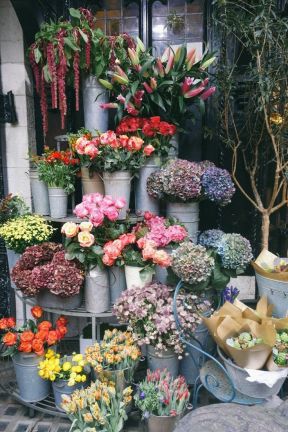 花店店面装修 