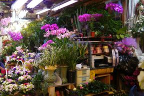 花店設計