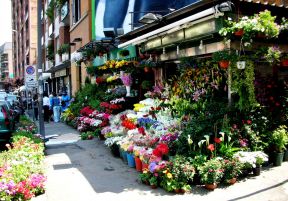 國外大型鮮花店裝修效果圖欣賞 