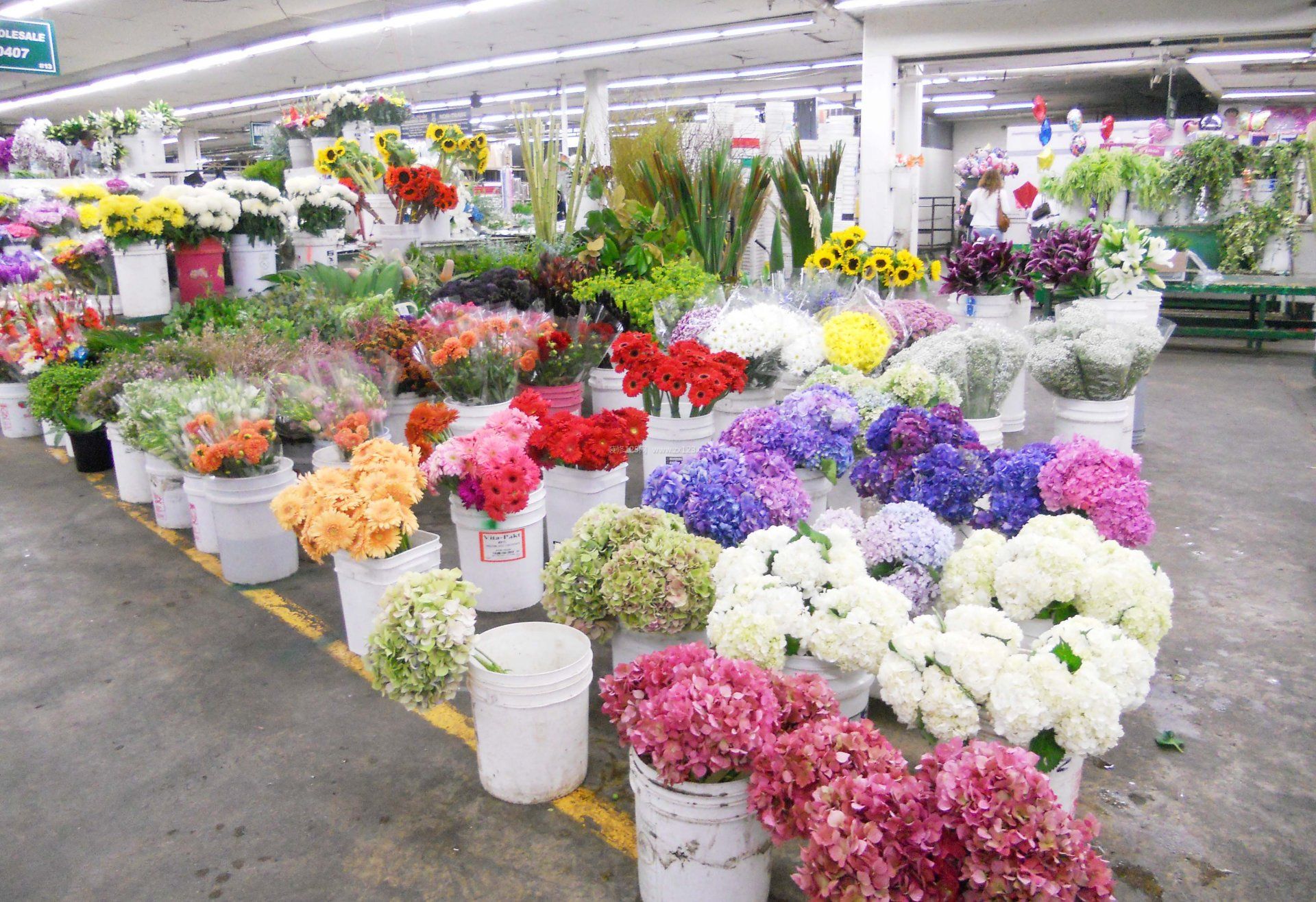 花店室內(nèi)水泥地面裝修效果圖片