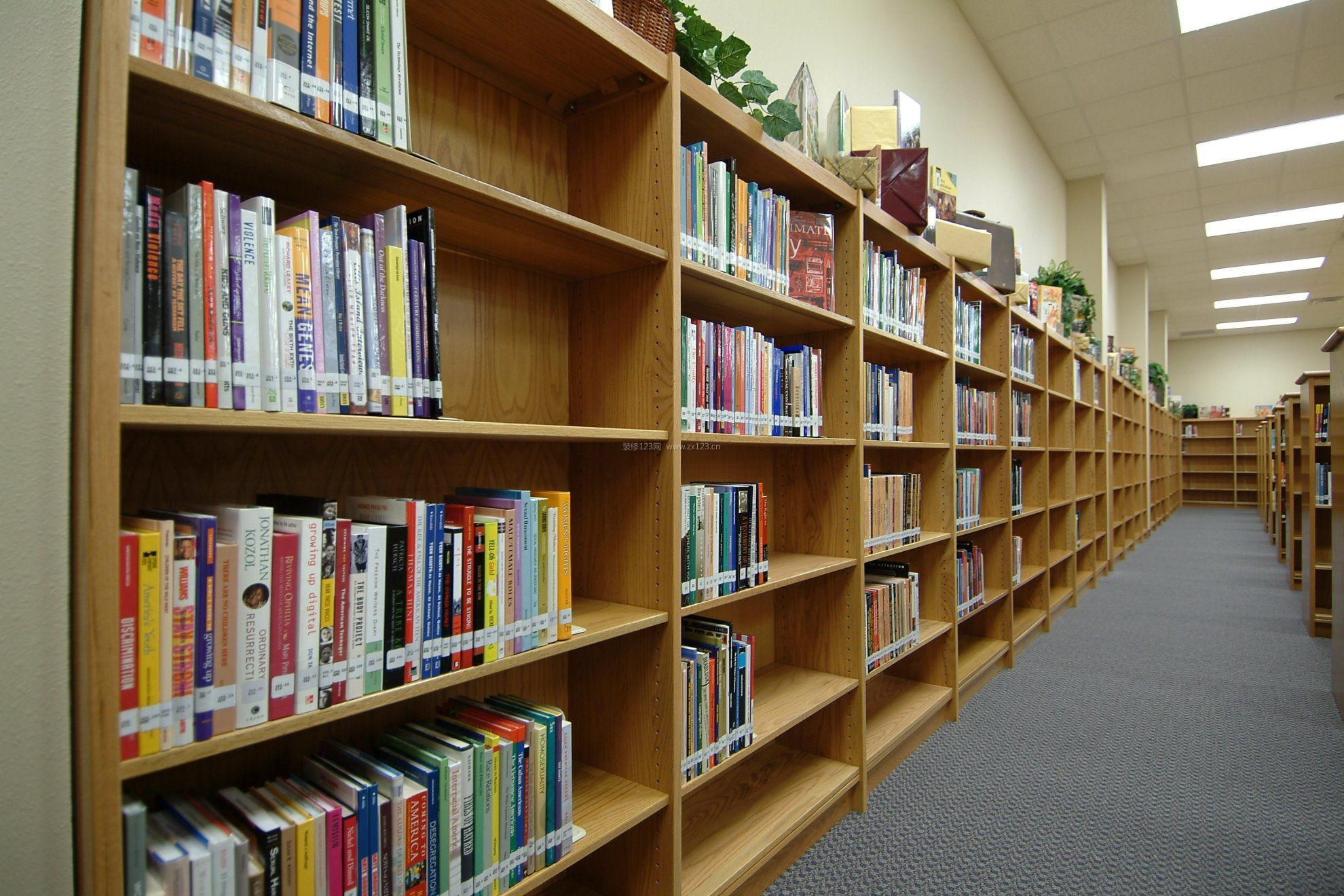 齐全图书馆书架的样式效果图片