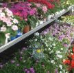 大型鲜花店展示设计效果图片